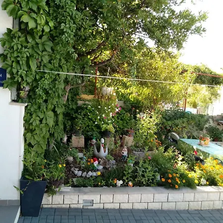 Centar - Mirjana *