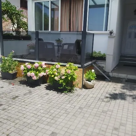 Centar - Mirjana *